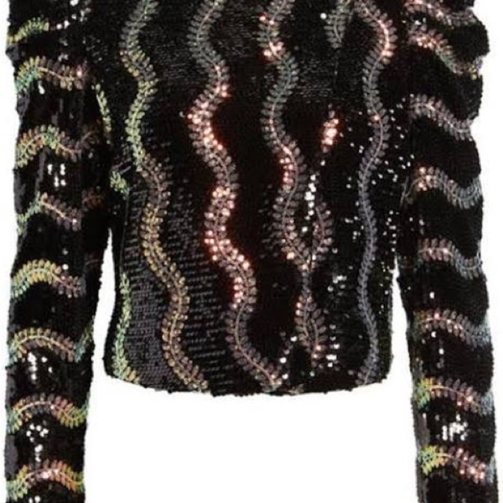 NWOT Puff Sleeve Sequin Blazer
BLANKNYC - Picture 2 of 16